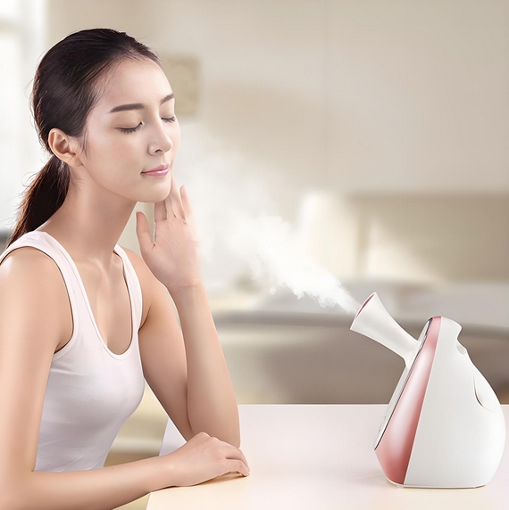 蒸臉器方案開發(fā)設(shè)計(jì)